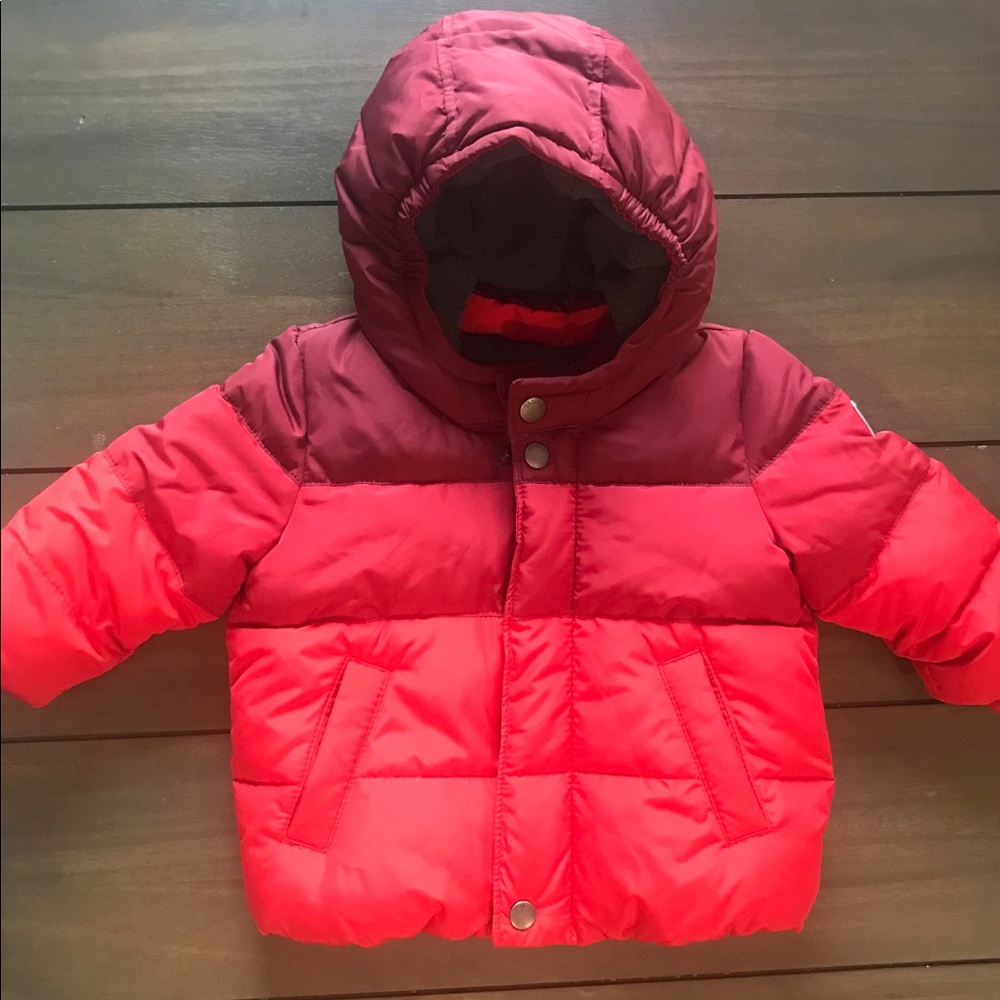 Baby GAP Hooded Puffer Jacket